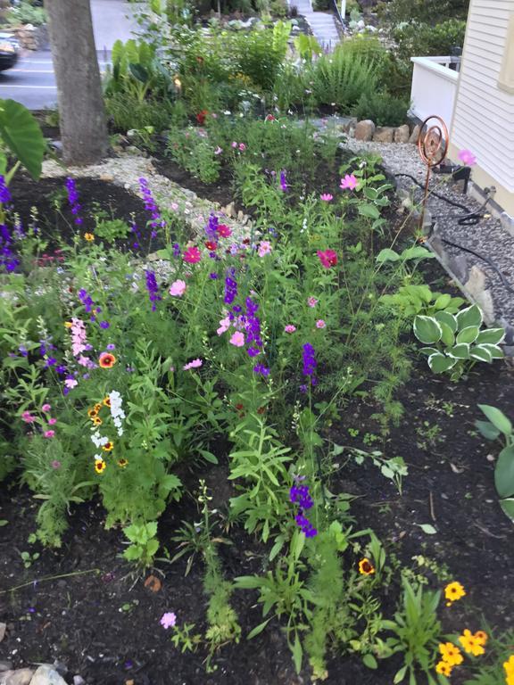 Black Boar Bed & Breakfast Ogunquit
