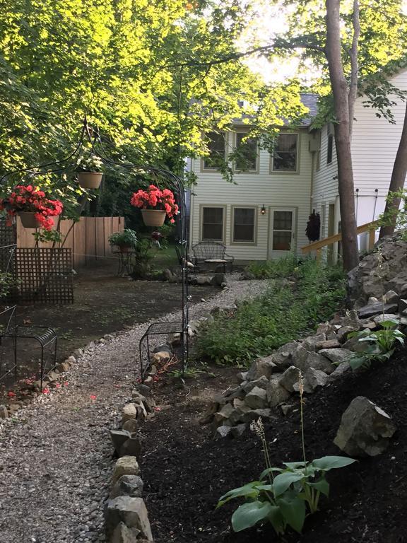 Bed & Breakfast Black Boar 5*