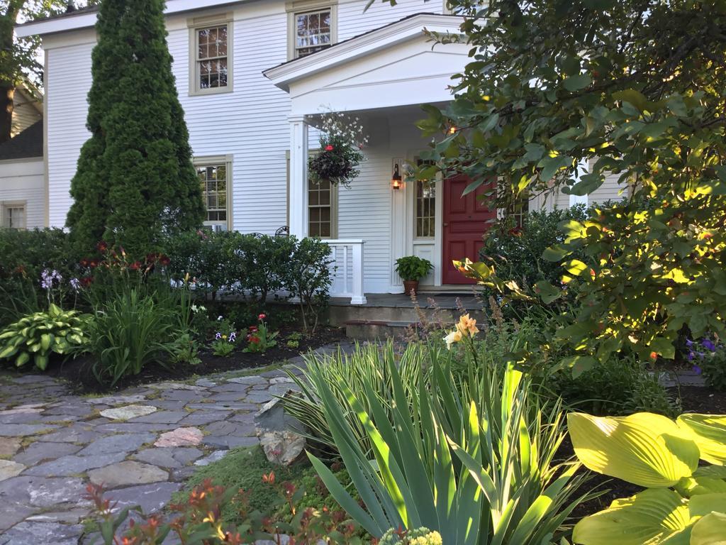 Bed & Breakfast Black Boar