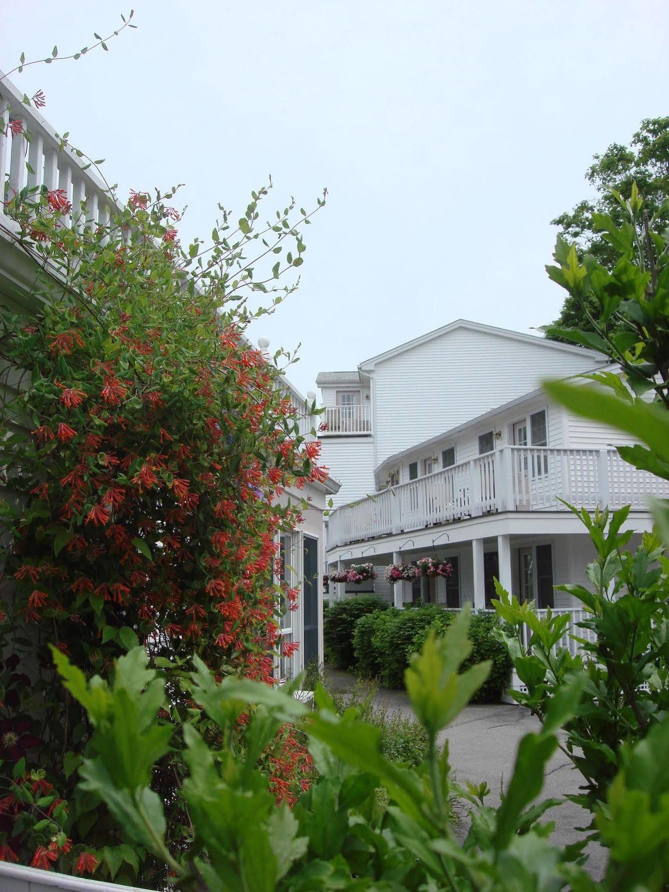 Holiday park Pink Blossoms 3*