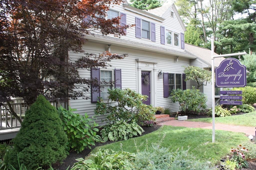 Dragonfly 5* Ogunquit