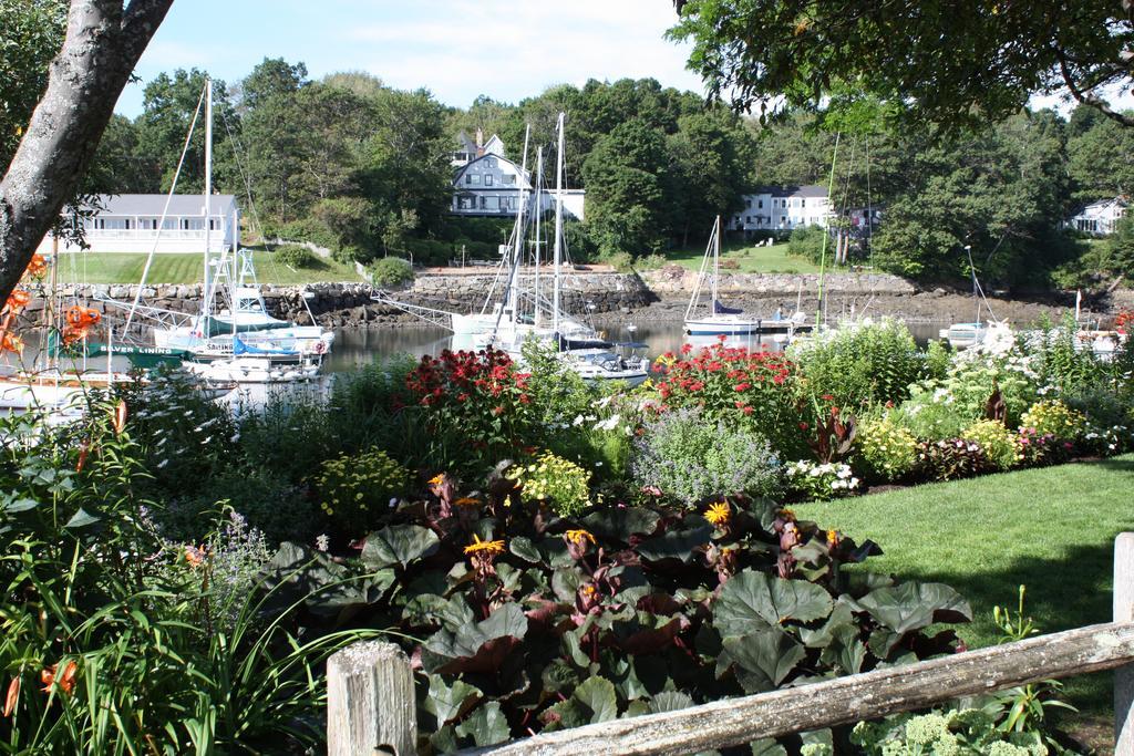 Dragonfly 5* Ogunquit