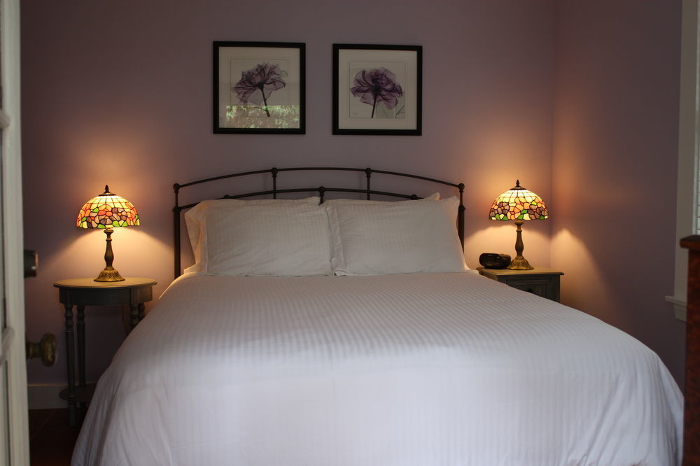 Guest house Dragonfly 5*